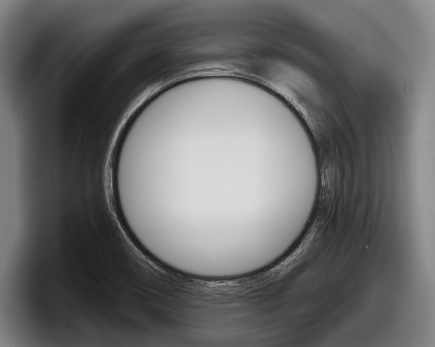X0000098151466200804171146