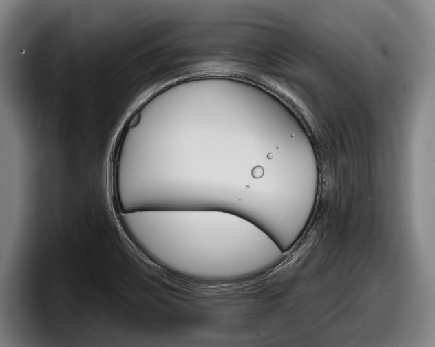 X0000098151467200804171146