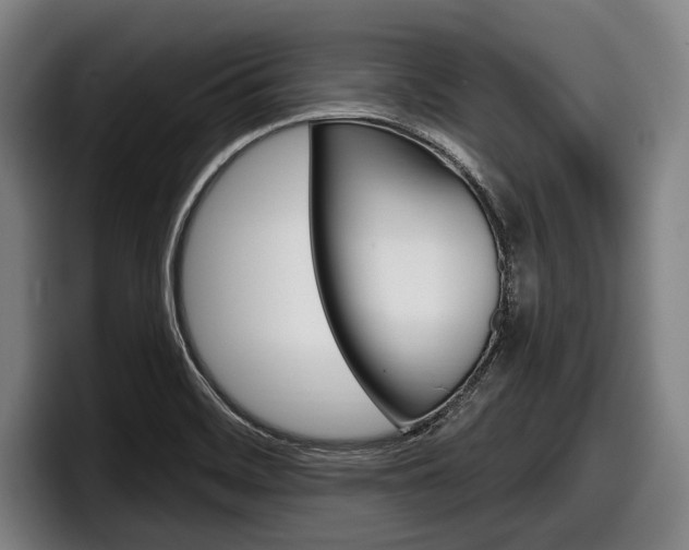 X0000098151468200804171146