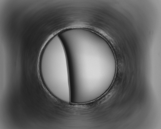 X0000098151469200804171146