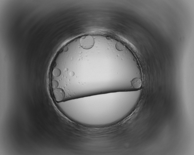 X0000098151471200804171146