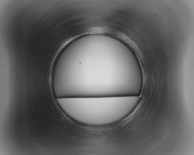 X0000098151473200804171146