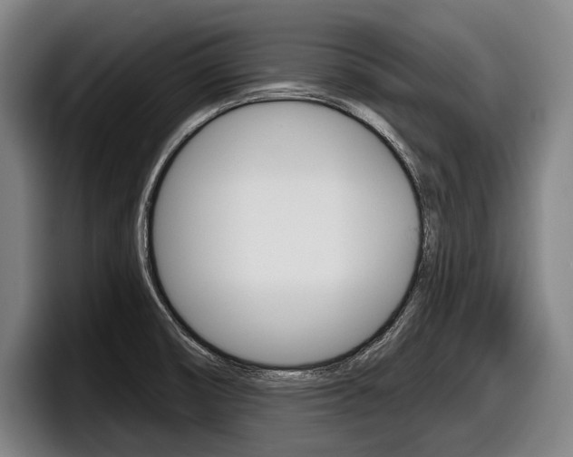 X0000098151474200804171146