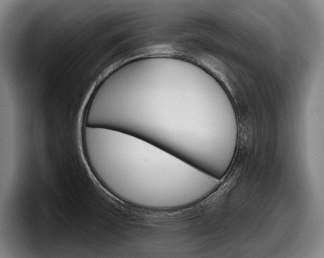 X0000098151475200804171146