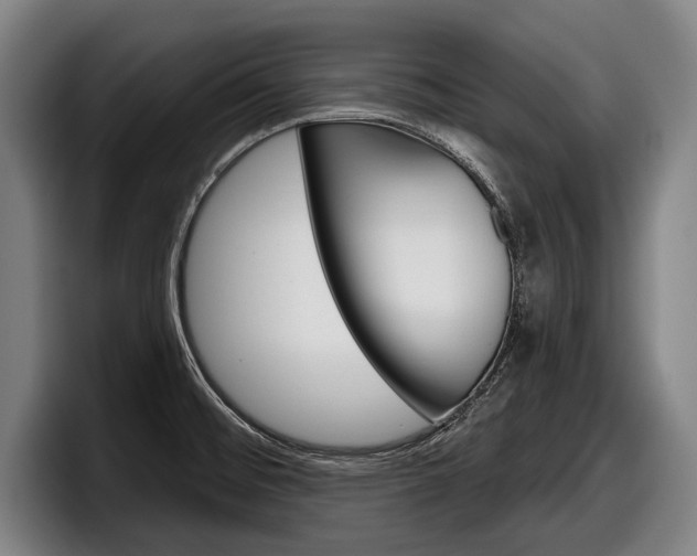 X0000098151476200804171146