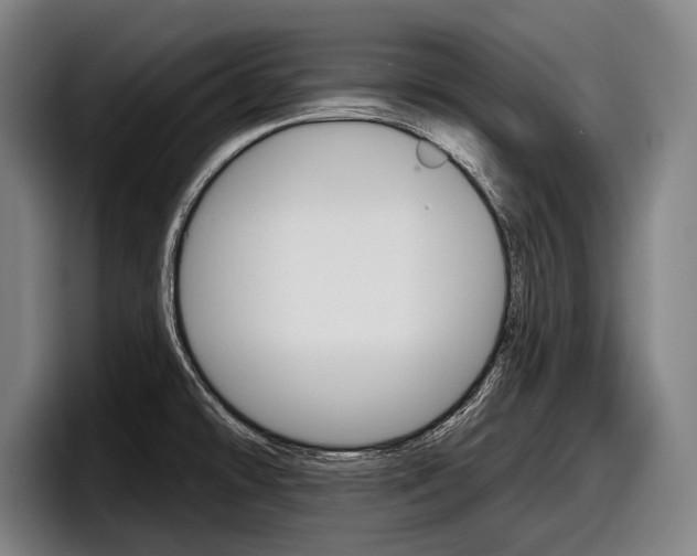 X0000098151478200804171146
