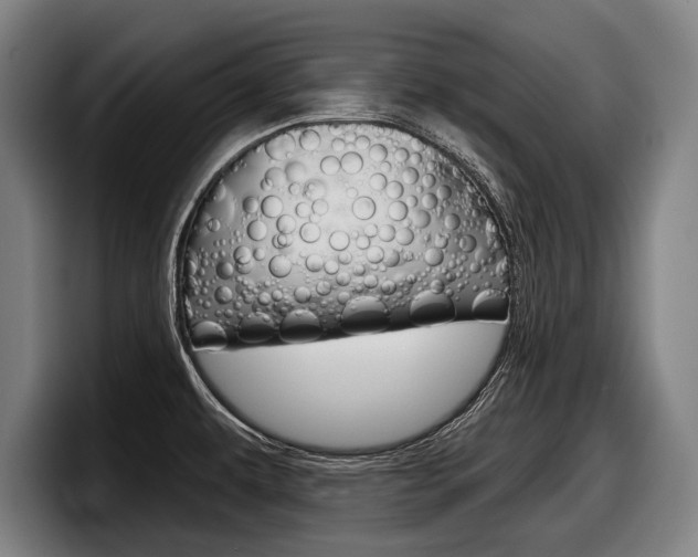 X0000098151479200804171146