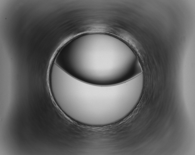 X0000098151480200804171146
