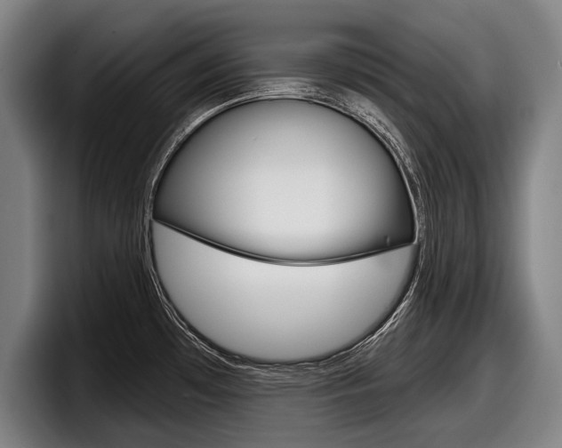X0000098151481200804171146