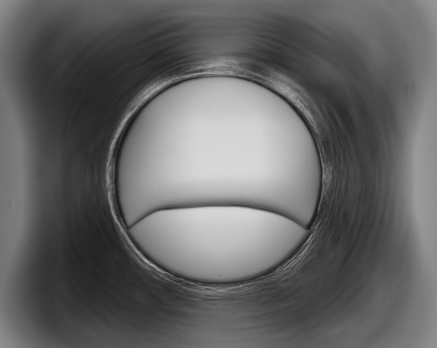 X0000098151482200804171146