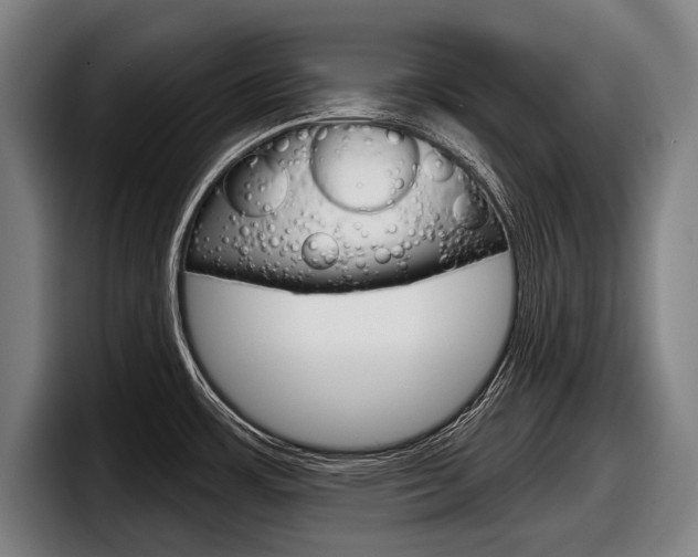 X0000098151483200804171146