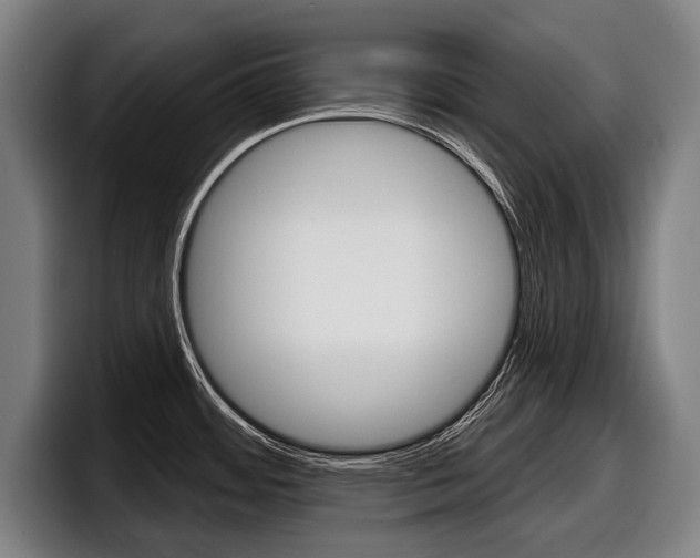 X0000098151484200804171146
