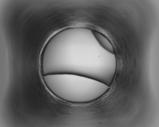 X0000098151487200804171146