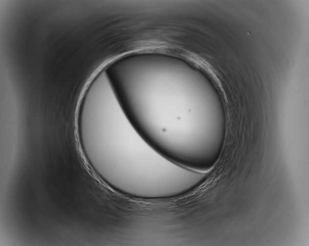 X0000098151488200804171146