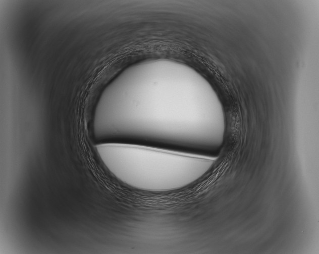 X0000098151489200804171145