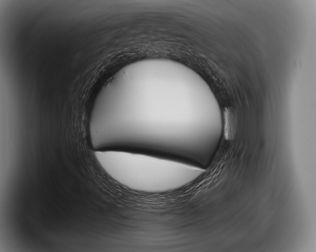 X0000098151491200804171145
