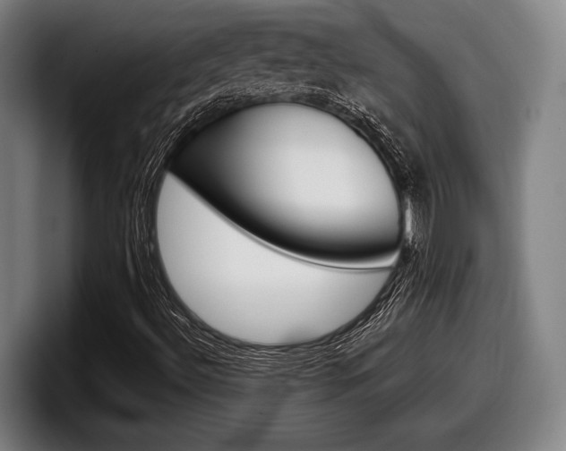X0000098151492200804171145