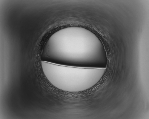 X0000098151495200804171146