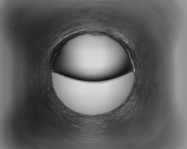 X0000098151496200804171146