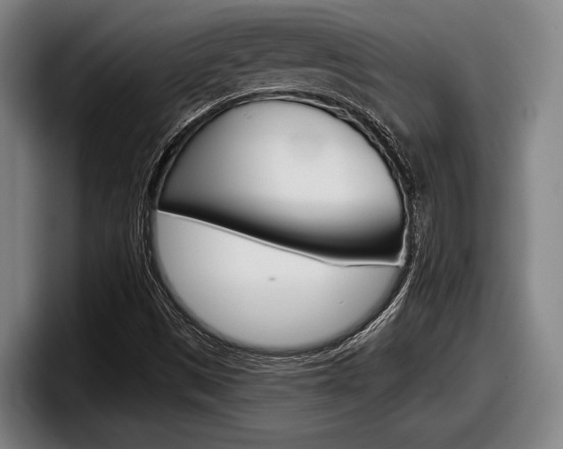X0000098151497200804171146