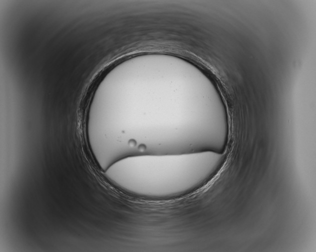 X0000098151498200804171146