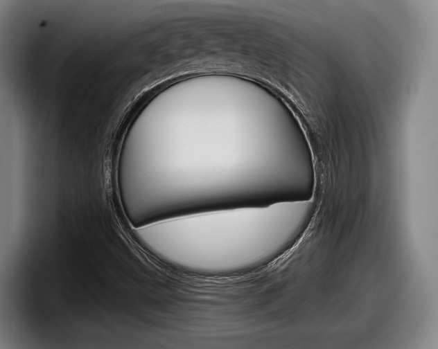 X0000098151499200804171146