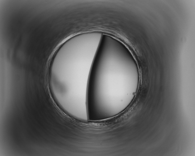 X0000098151500200804171146