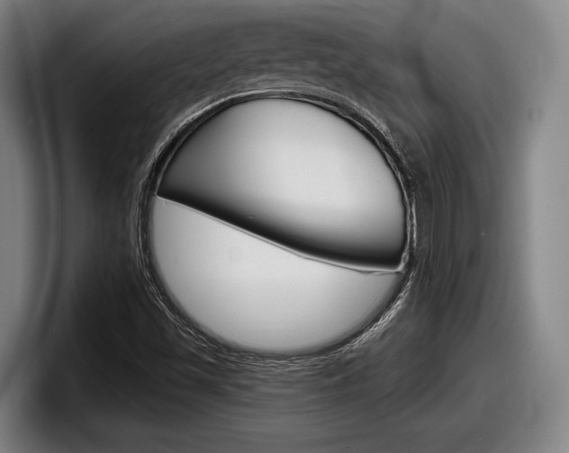 X0000098151501200804171146