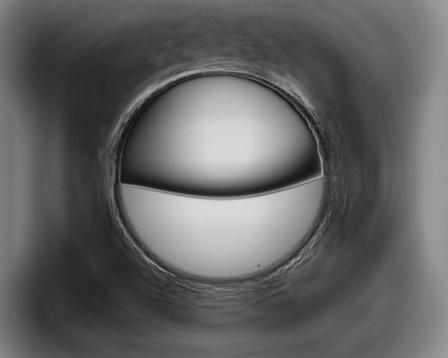 X0000098151504200804171146