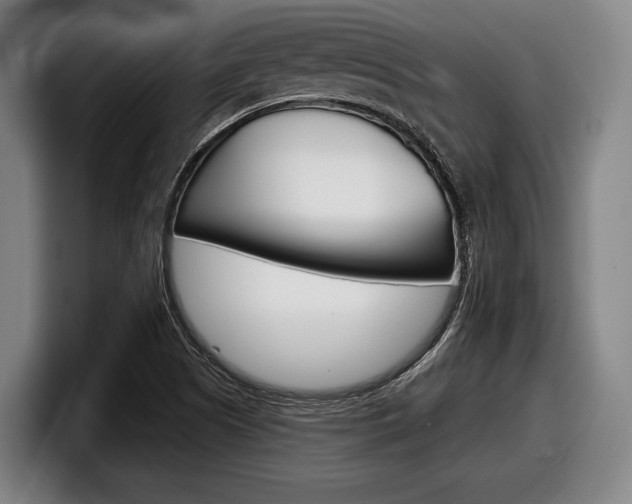 X0000098151505200804171146