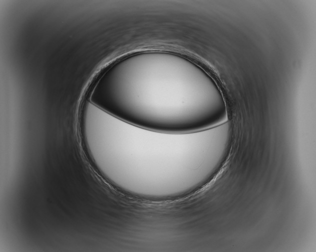 X0000098151506200804171146