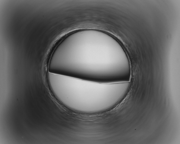 X0000098151507200804171146