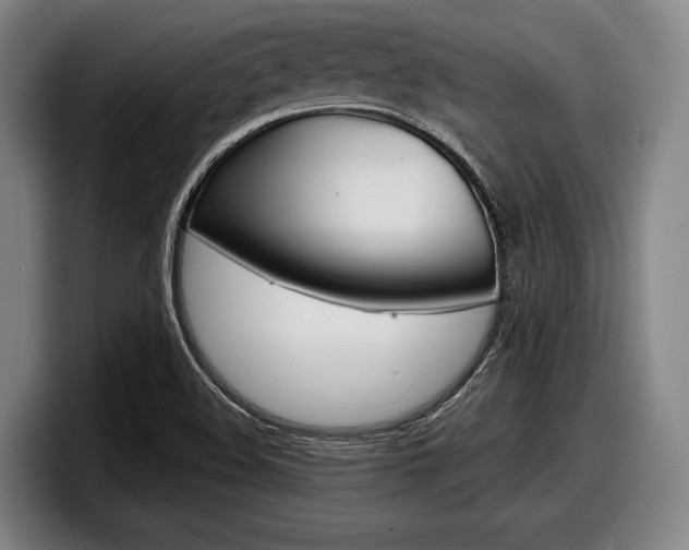 X0000098151508200804171146