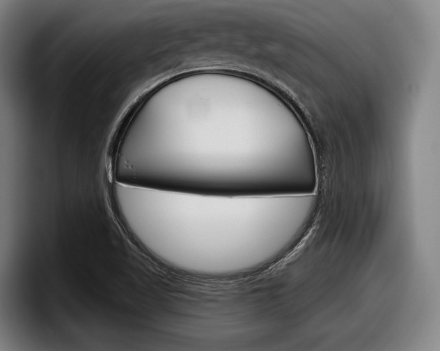 X0000098151509200804171146