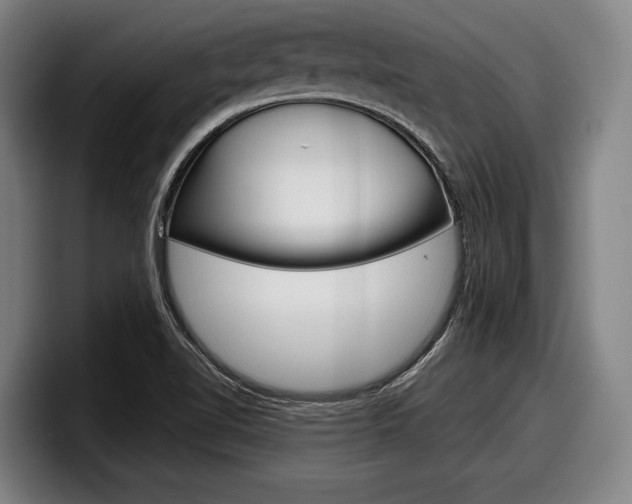 X0000098151510200804171146