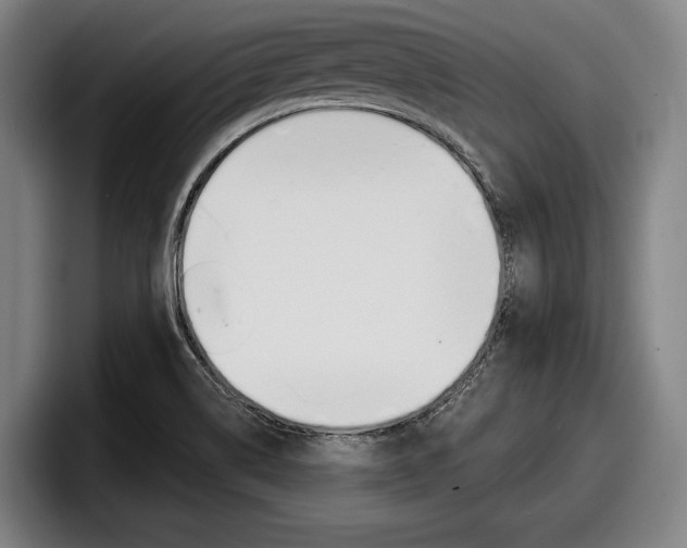 X0000098151514200804171146
