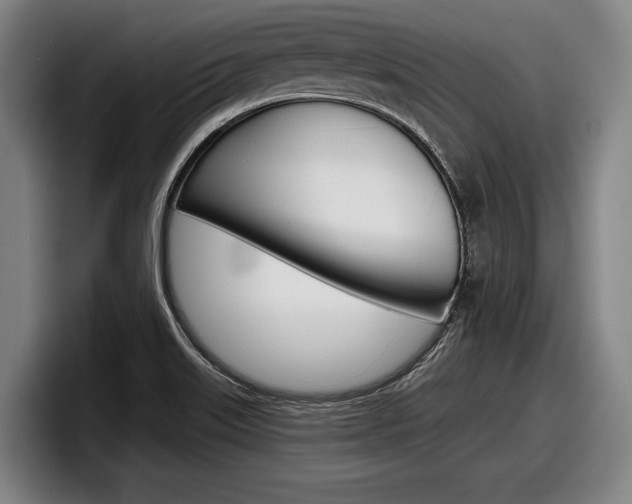 X0000098151515200804171146