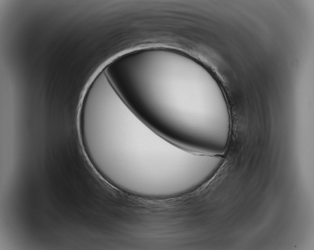X0000098151516200804171146