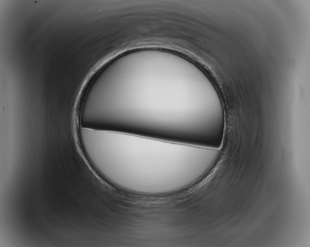 X0000098151517200804171146