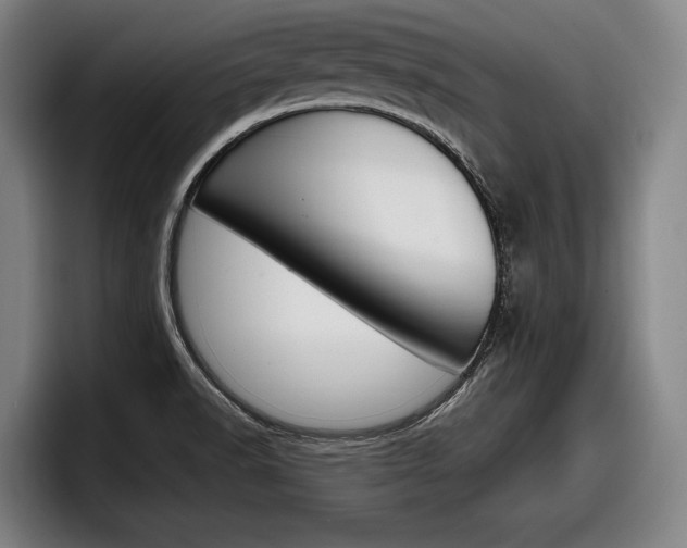 X0000098151518200804171146