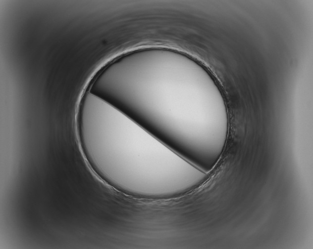 X0000098151519200804171146
