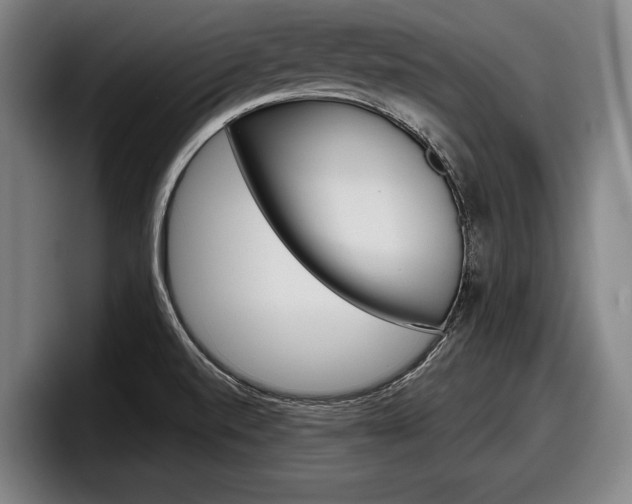 X0000098151520200804171146