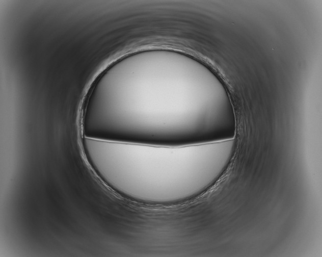 X0000098151522200804171146