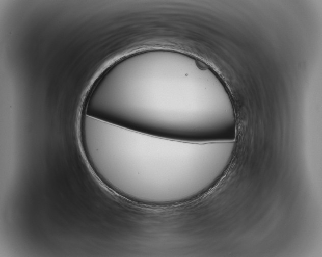 X0000098151523200804171146