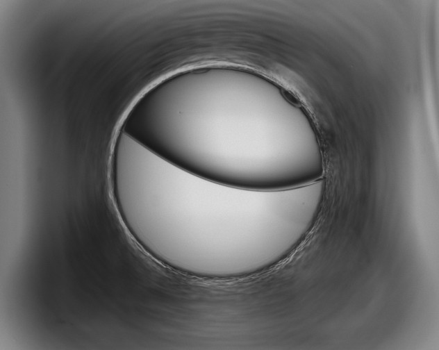X0000098151524200804171146