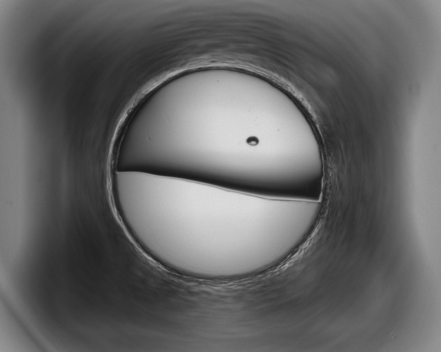 X0000098151525200804171146