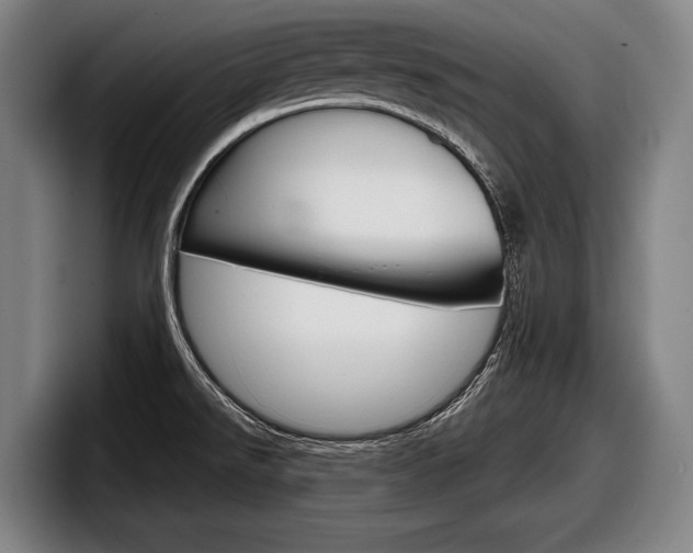 X0000098151526200804171146