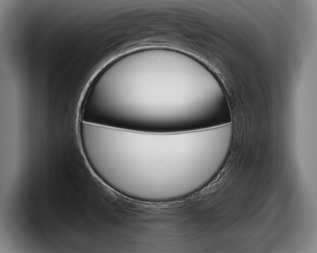 X0000098151527200804171146
