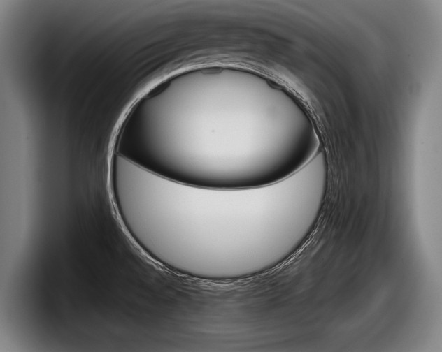 X0000098151528200804171146
