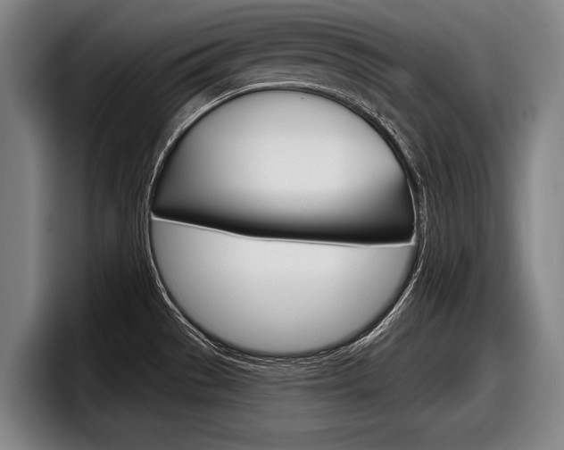X0000098151529200804171146